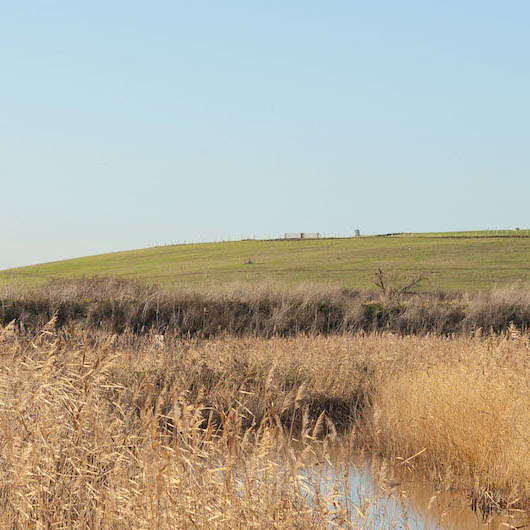 reclaimed-land-square-D1E3A5